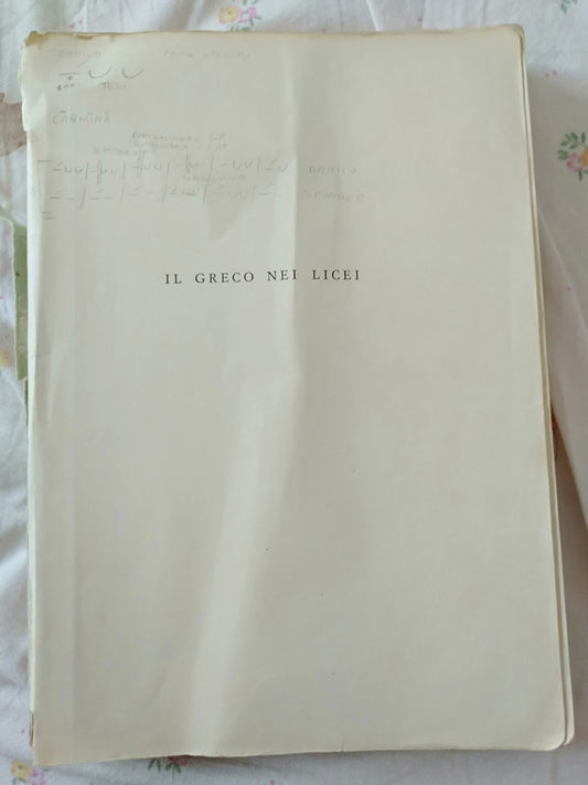 Il greco nei licei manuale per lo studio del greco nei licei classici seconda edizione - copertina