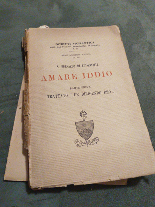 Amare iddio - copertina