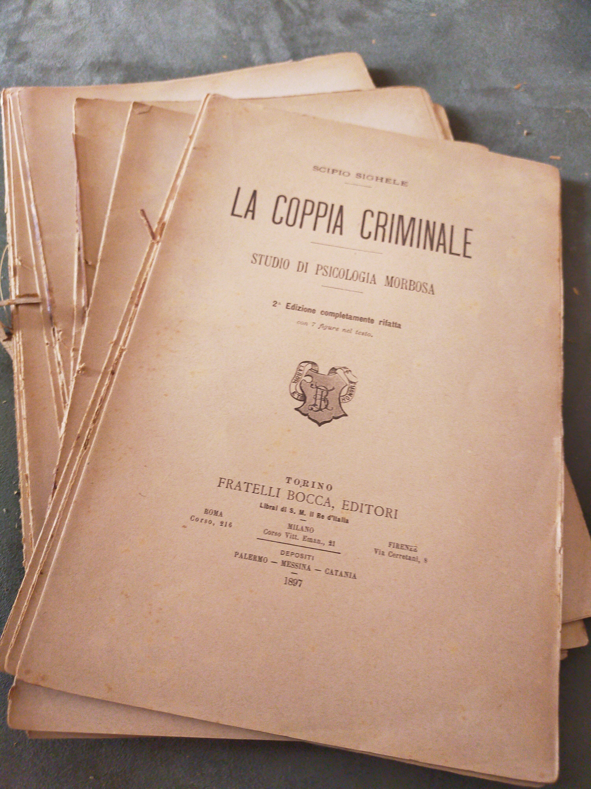 La coppia criminale studio di psicologia morbosa - copertina