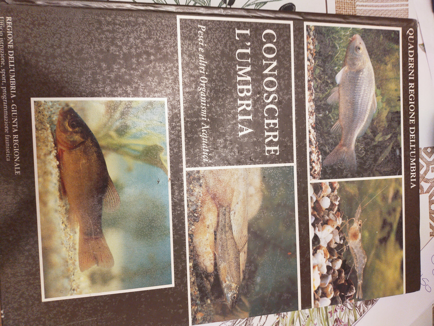 Conoscere la Umbria - copertina