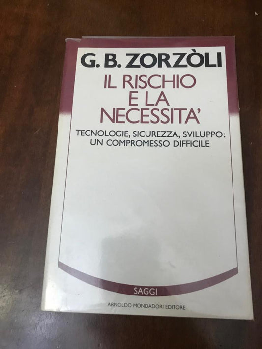 Il rischio e la necessita?: Tecnologie, sicurezza, sviluppo : un compromesso difficile - copertina