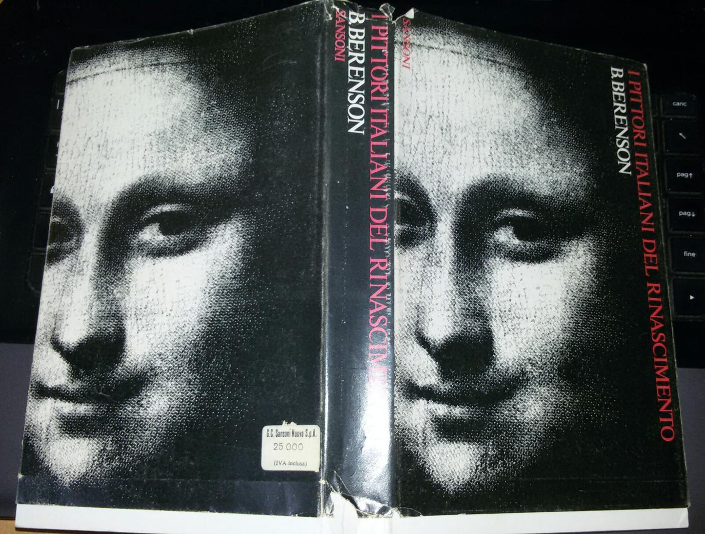 I pittori italiani del Rinascimento - copertina