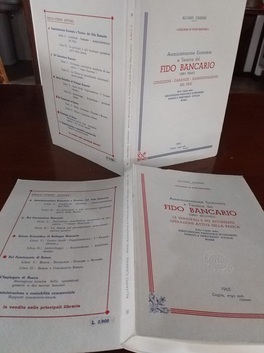 Amministrazione economia e tecnica del Fido Bancario - copertina