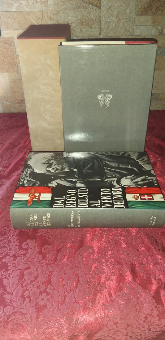 Dal regno del sud al vento del nord - copertina