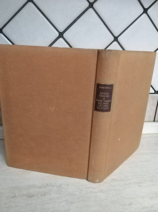 Evoluzione Demografica Ed Ambiente Economico Nelle Marche E Nell'umbria Dell'ottocento - copertina