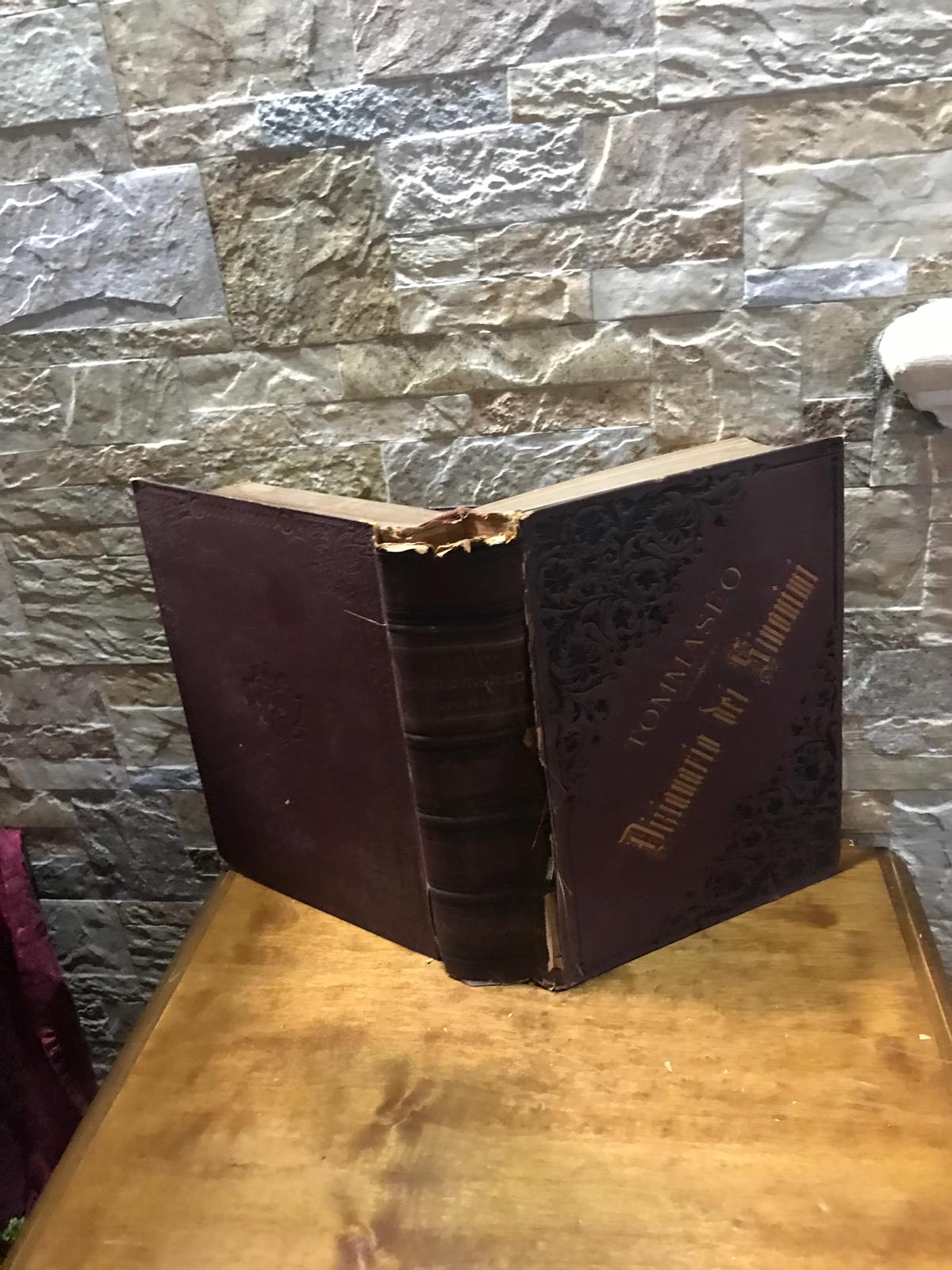 Dizionario dei sinonimi - copertina