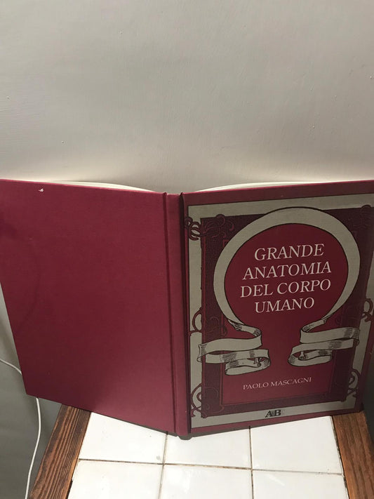 Grande anatomia del corpo umano - copertina