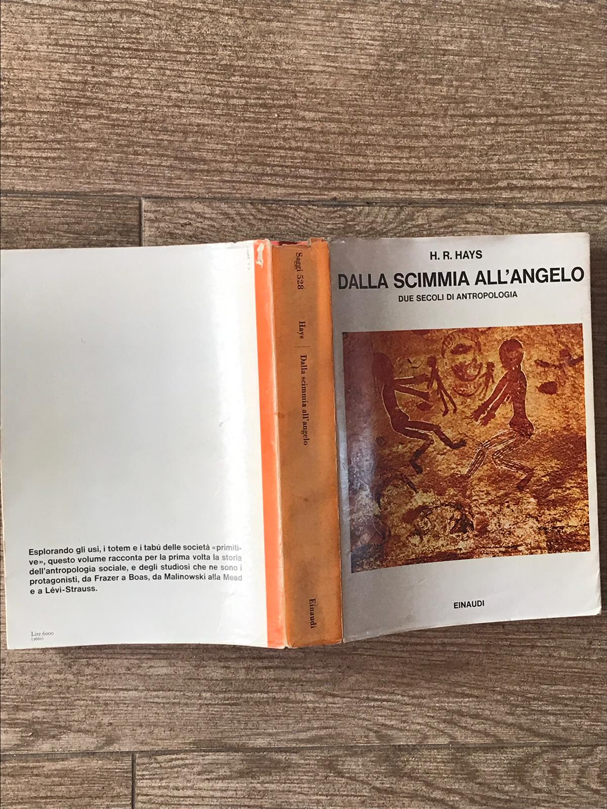 Dalla scimmia all'angelo - copertina