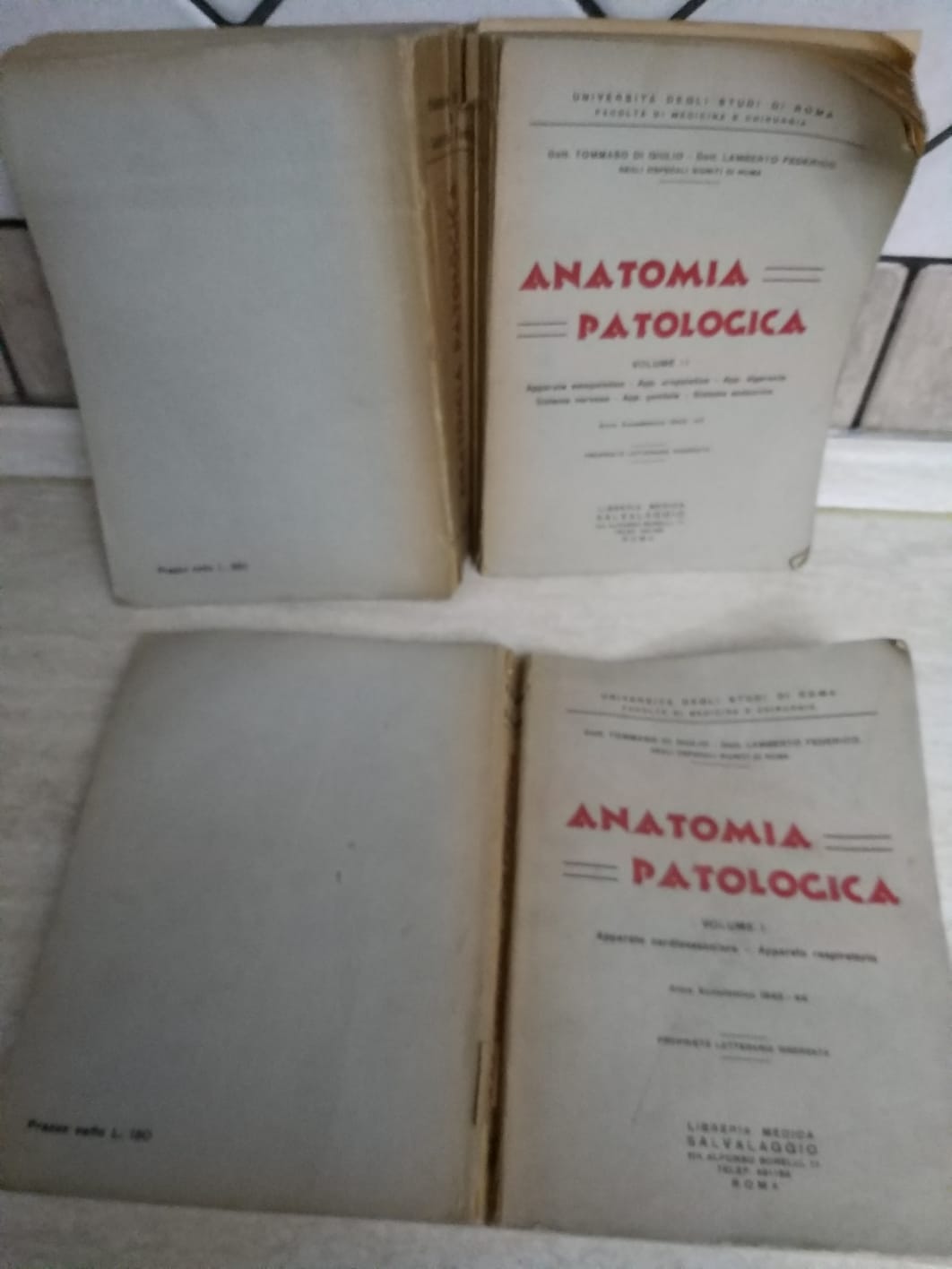 Anatomia patologica - copertina