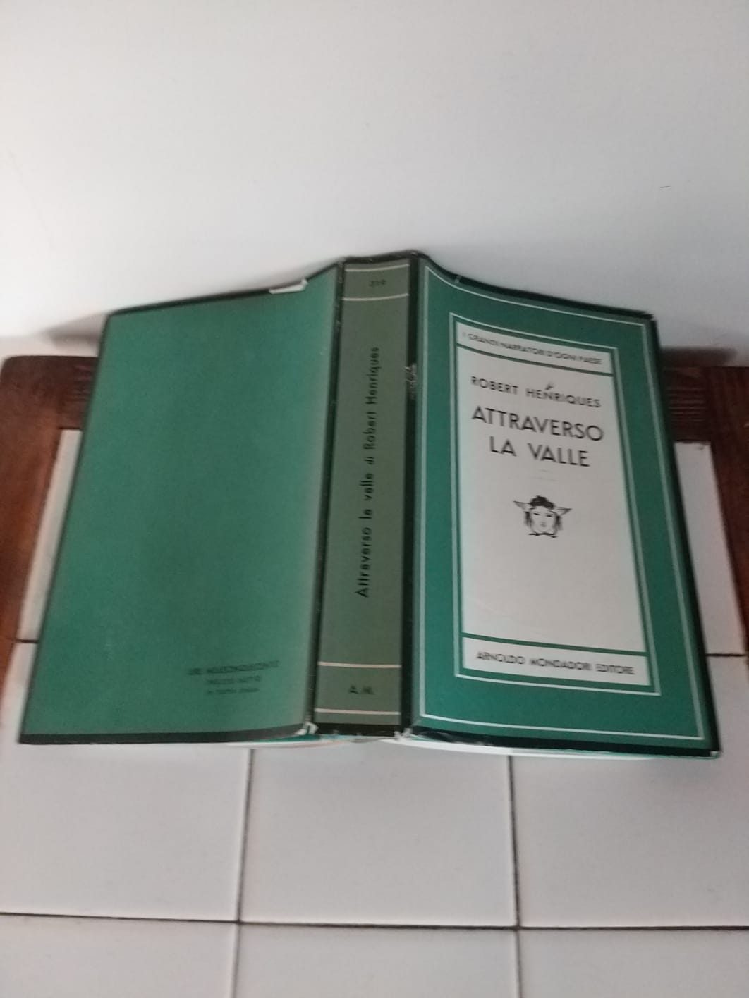 Attraverso la valle - copertina