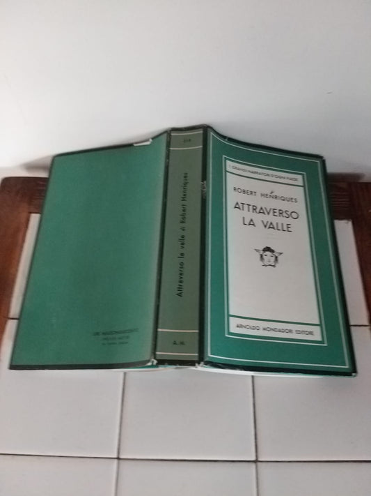 Attraverso la valle - copertina