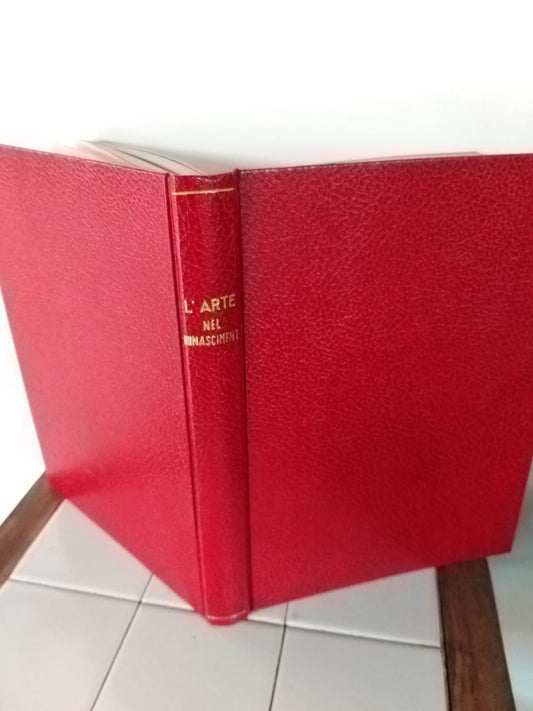 L'arte nel rinascimento  volume VI - copertina