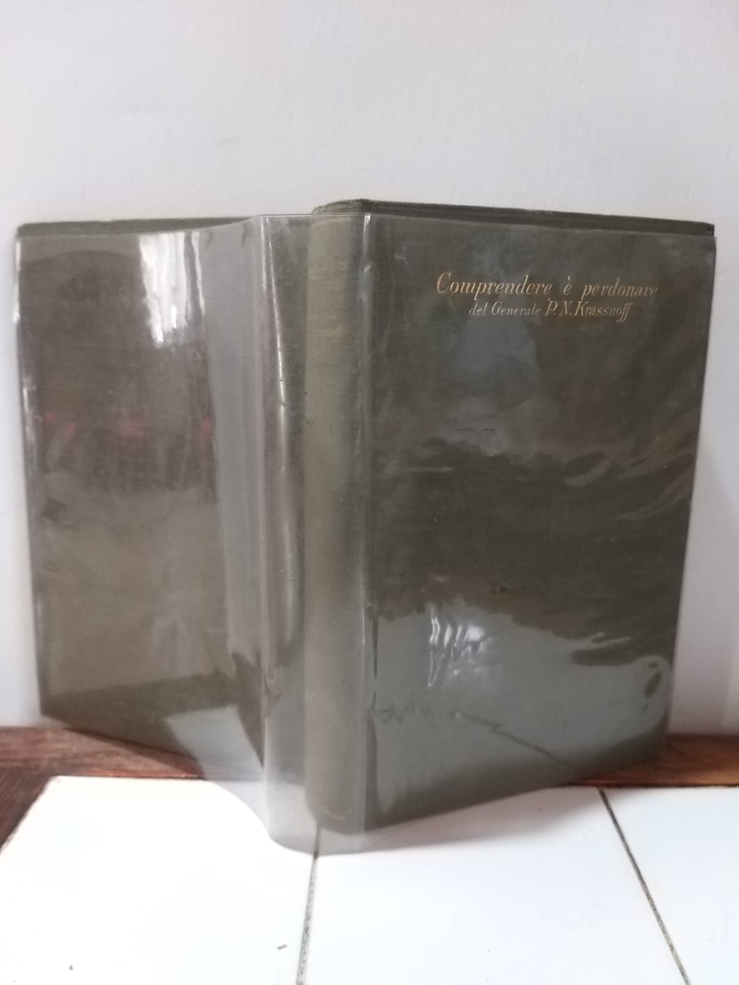 Comprendere e' perdonare - copertina