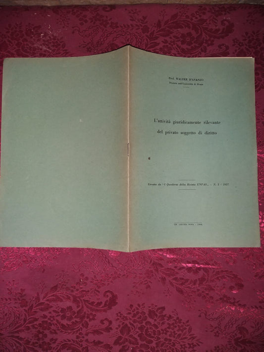 L'attivita' giuridicamente rilevante del privato soggetto di diritto - copertina