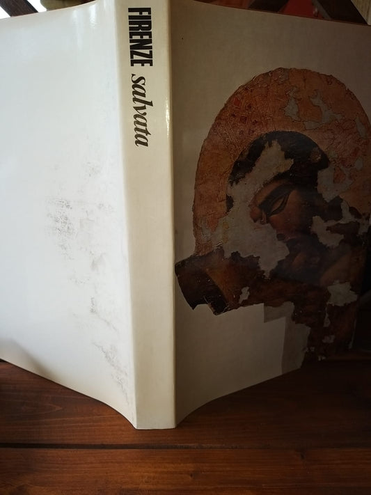 Firenze salvata - copertina