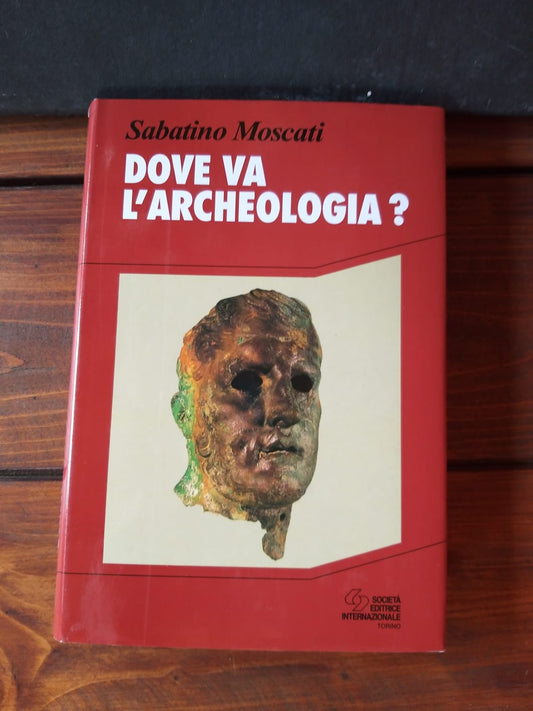 Dove va l'archeologia - copertina