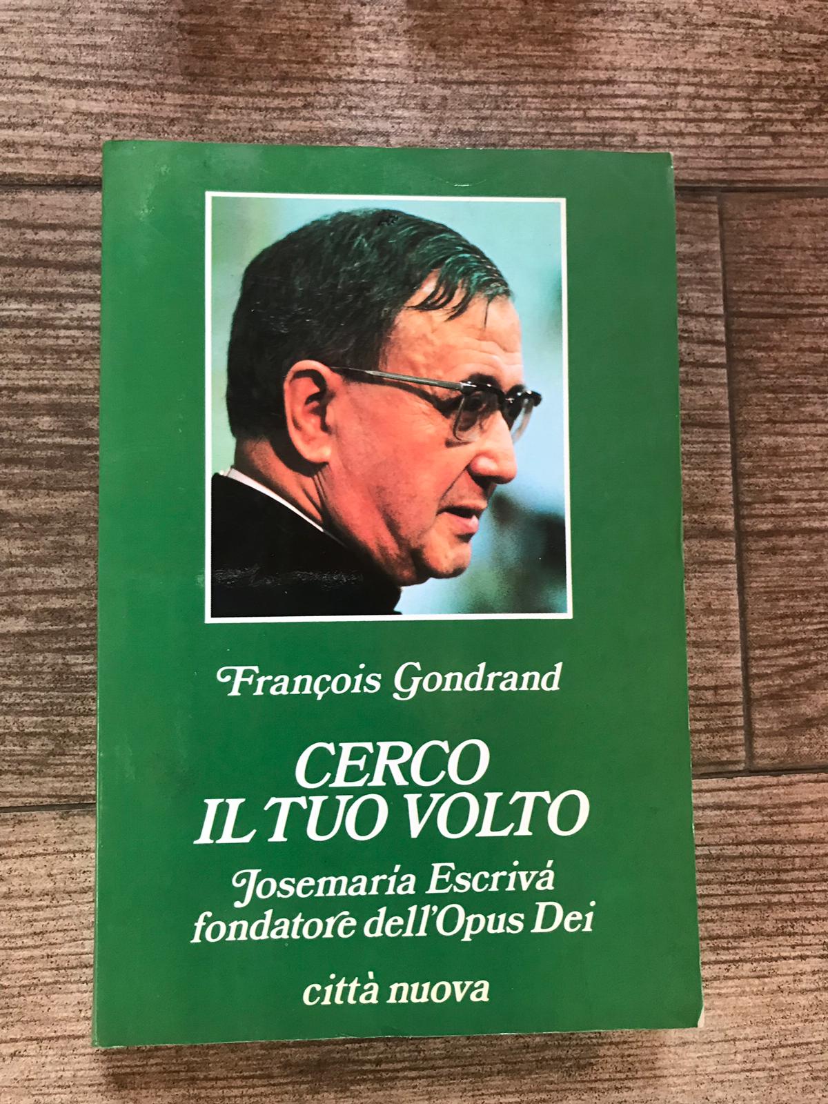 Cerco il tuo volto - copertina