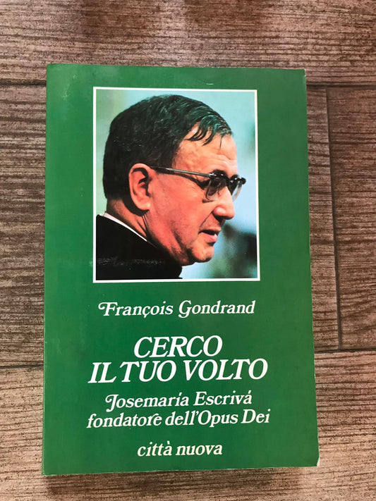 Cerco il tuo volto - copertina