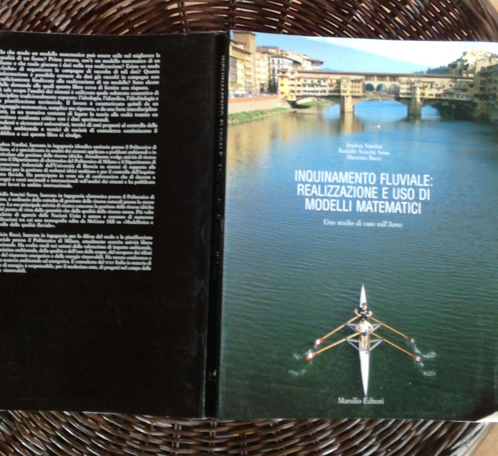 Inquinamento fluviale: realizzazione e uso di modelli matematici. Uno studio di caso sull'Arno - copertina
