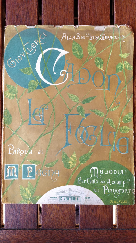 Cadon le foglie - copertina