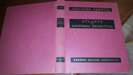 Atlante di anatomia descrittiva dell'uomo. I. - copertina