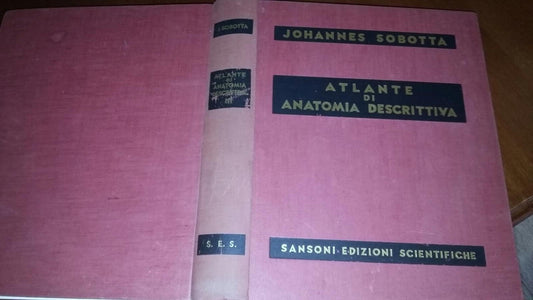 Atlante di anatomia descrittiva vol.III - copertina