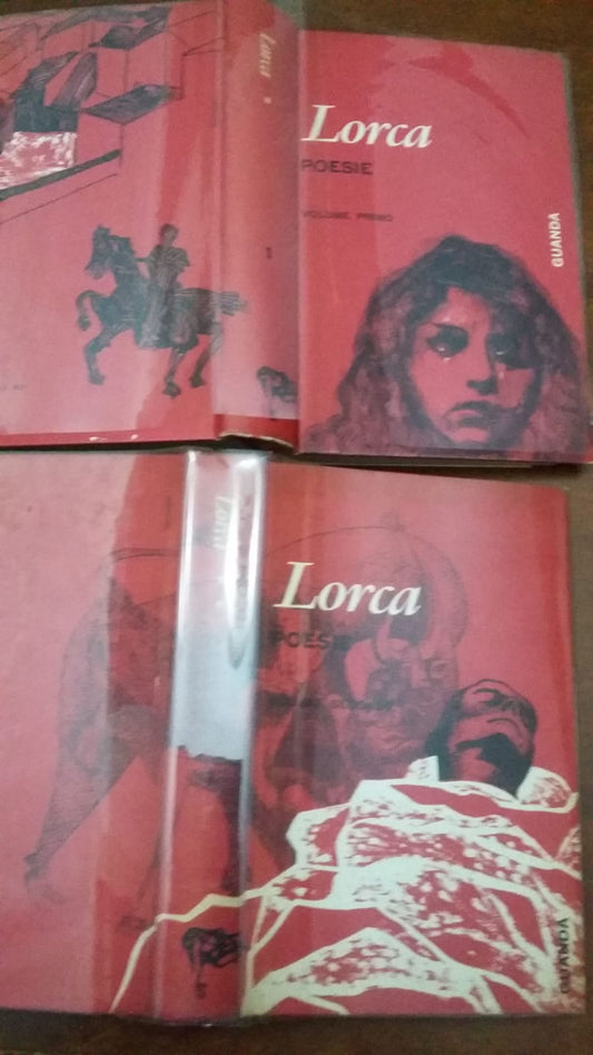 Poesie Volume 1 e 2 - copertina