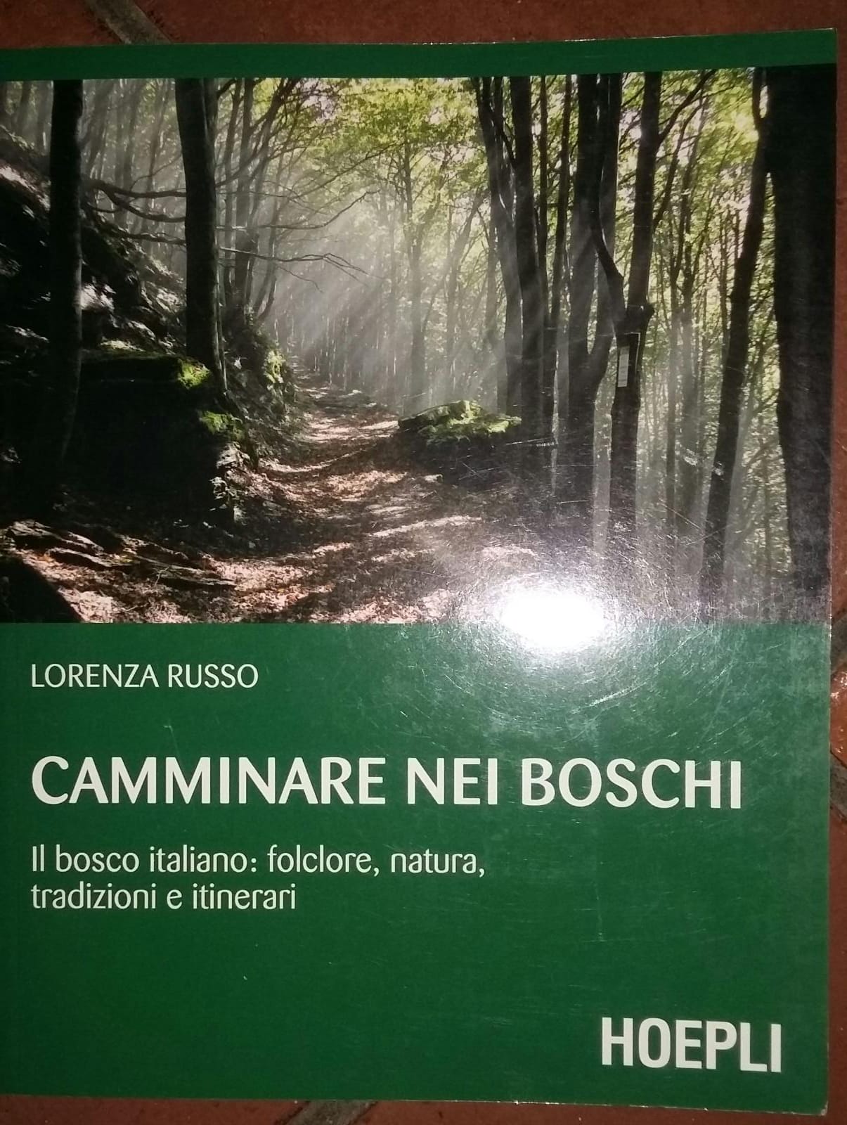 Camminare nei boschi: Il bosco italiano: folclore, natura, tradizioni e itinerari - copertina