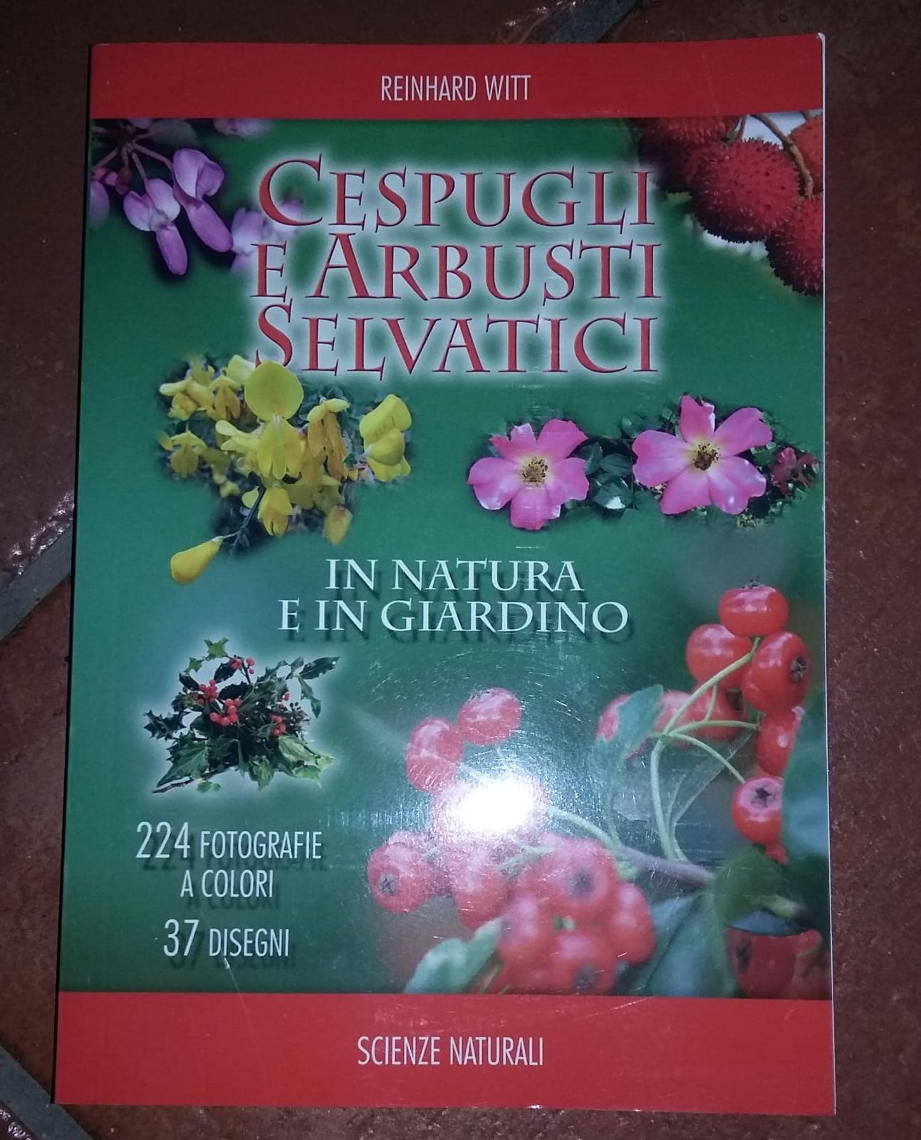 Cespugli e arbusti selvatici in natura e in giardino - copertina