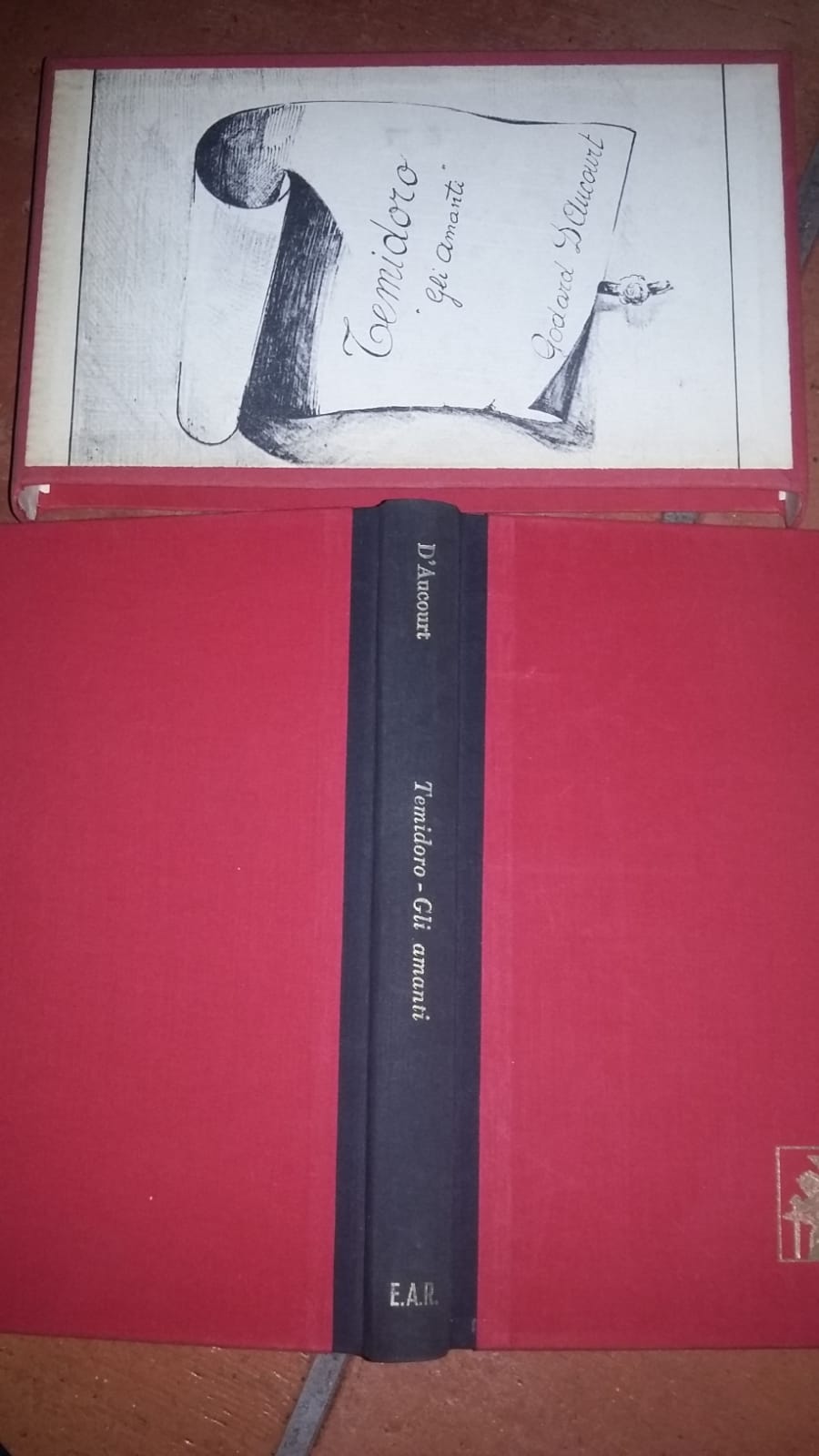 Temidoro ossia la mia storia e quella della mia amante - copertina