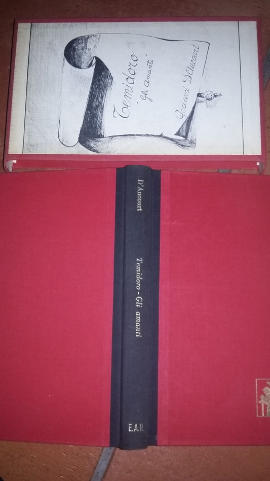 Temidoro ossia la mia storia e quella della mia amante - copertina