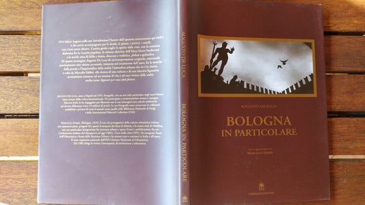 Bologna in particolare - copertina