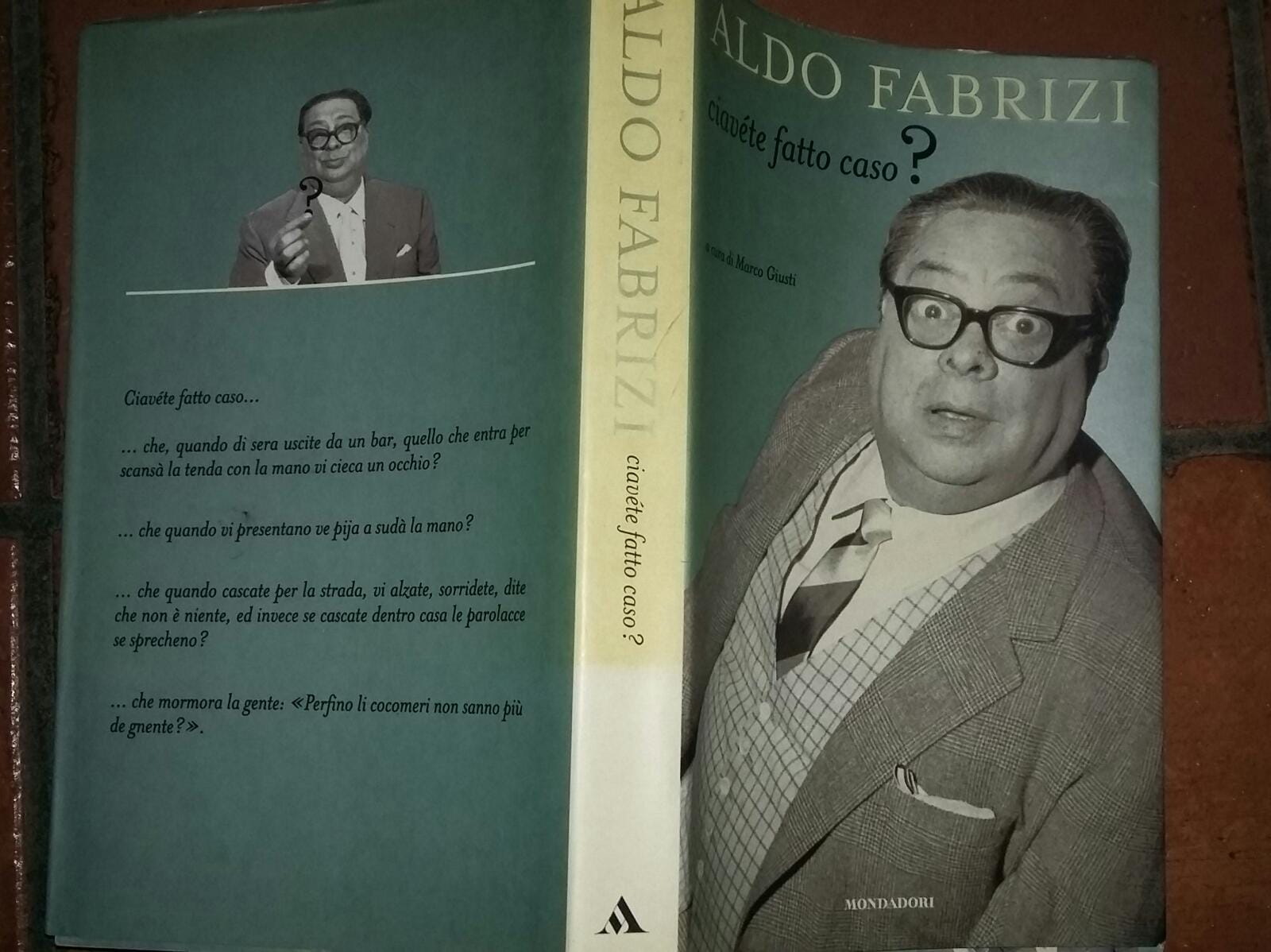 Ciavéte fatto caso? - copertina