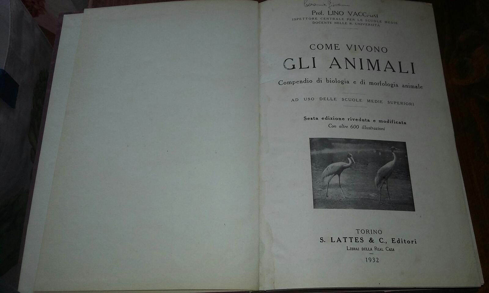 Come vivono gli animali.Compendio di biologia e di morfologia animale - copertina