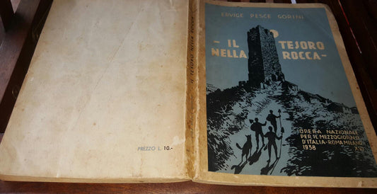 Il tesoro nella rocca - copertina
