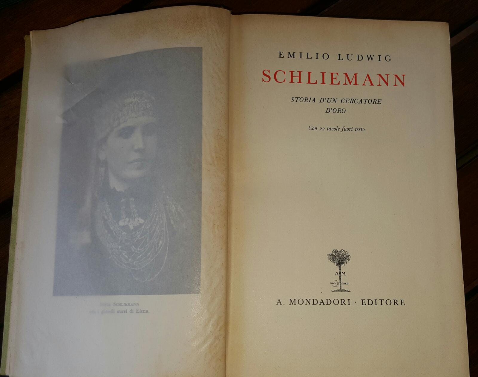 Schliemann. Storia d'un cercatore d'oro - copertina