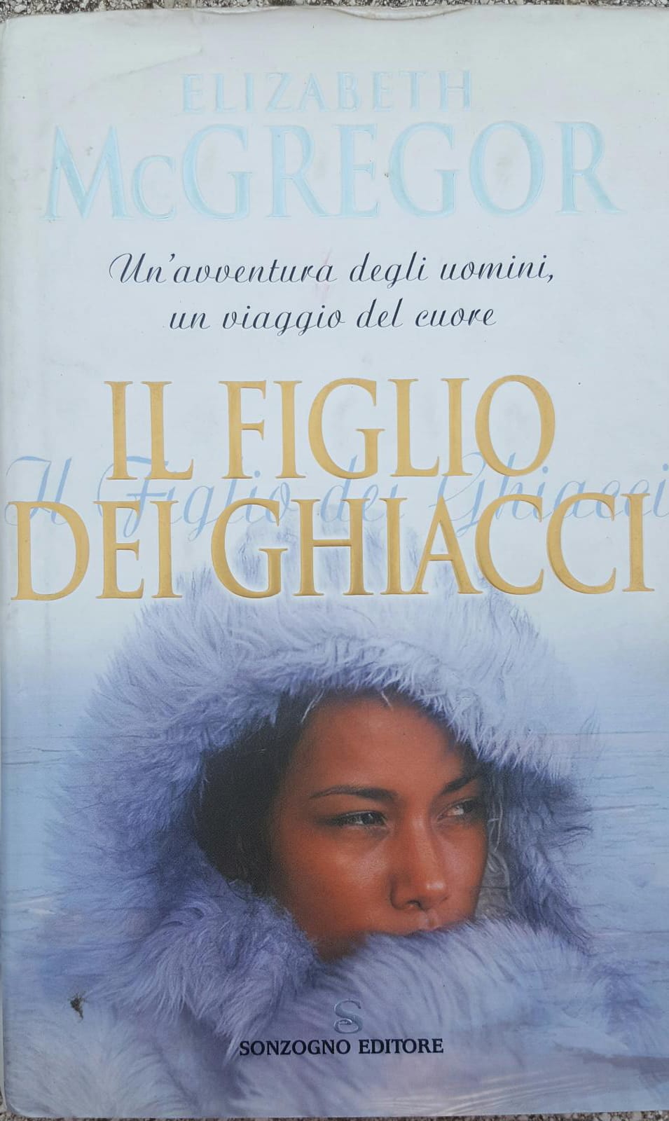 Il figlio dei ghiacci Un'avventura degli uomini, un viaggio del cuore - copertina