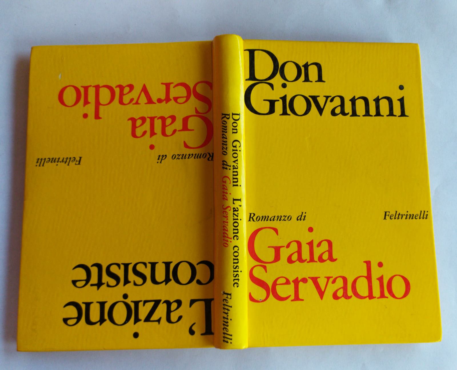 Don Giovanni- L'azione consiste - copertina