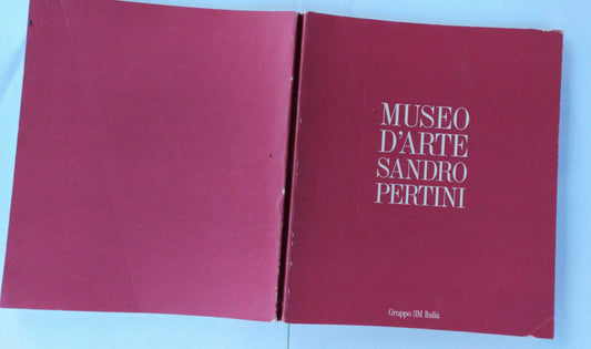 Museo d'arte Sandro Pertini - copertina