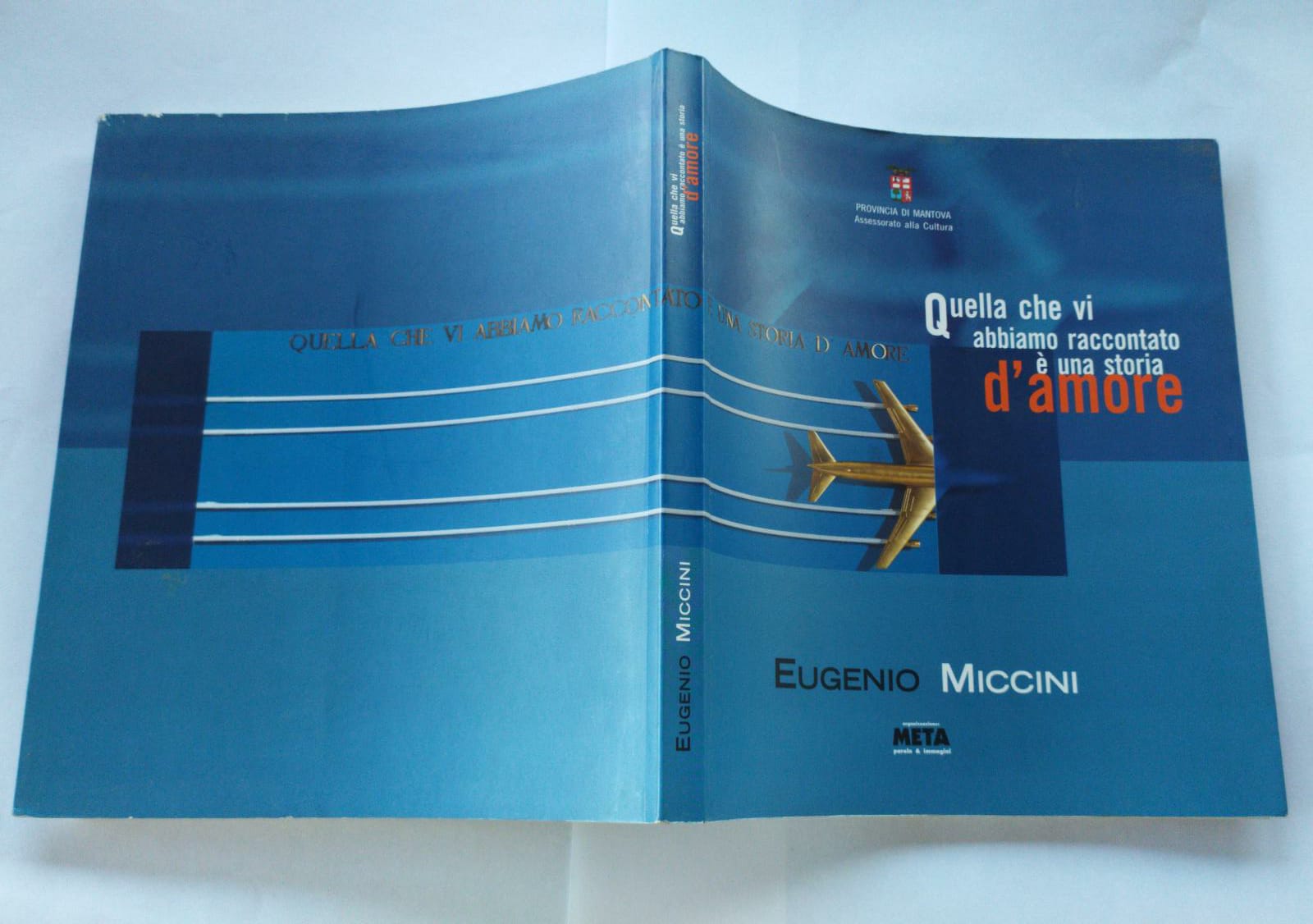 Quella che vi abbiamo raccontato è una storia d'amore - copertina