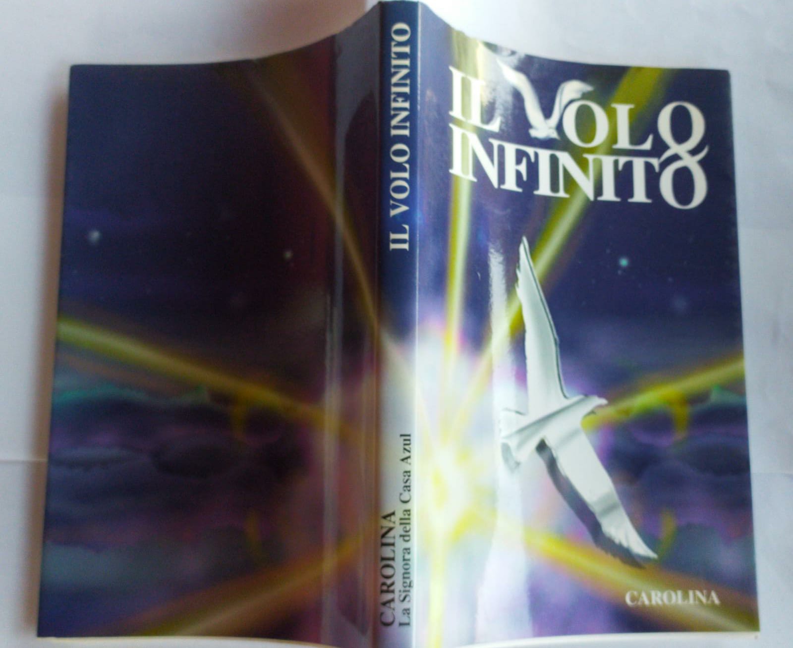 Il volo infinito - copertina