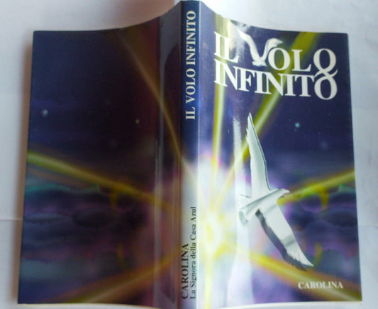 Il volo infinito - copertina