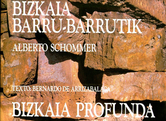 Bizkaia Barru - Barrutik   Bizkaia profunda - copertina