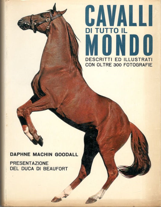 Cavalli di tutto il mondo - copertina