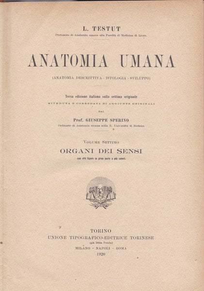 Anatomia umana. VII. Organi dei sensi. - copertina