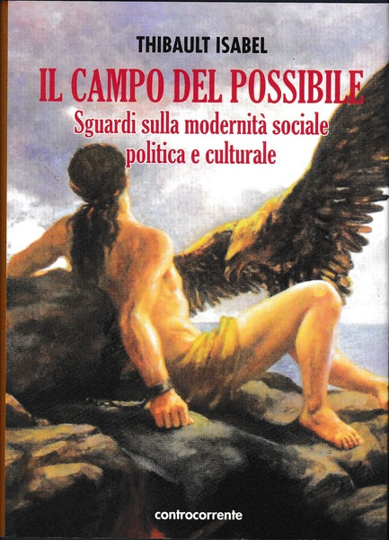 Il campo del possibile. Sguardi sulla modernità sociale, politica e culturale - copertina