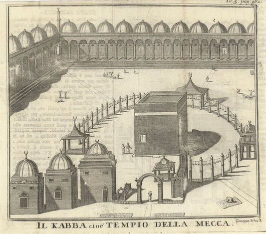 Il disegno. Le collezioni pubbliche italiane. Parte prima. - copertina