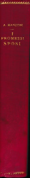 I Promessi Sposi - Storia della colonna infame - copertina