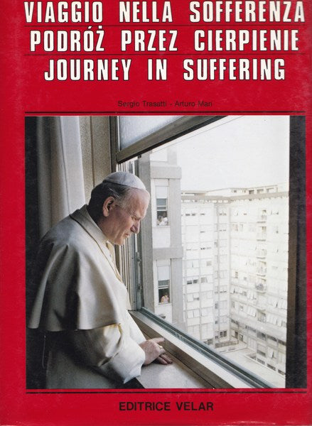 Viaggio nella sofferenza - copertina